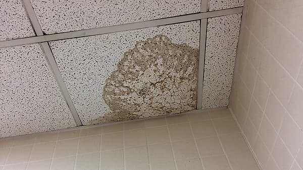 A stained and blistered ceiling panel damaged by water leaking from a pipe above it