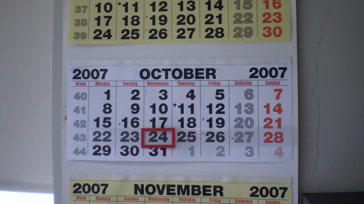 A paper wall calendar hanging flat with a full month of dates showing