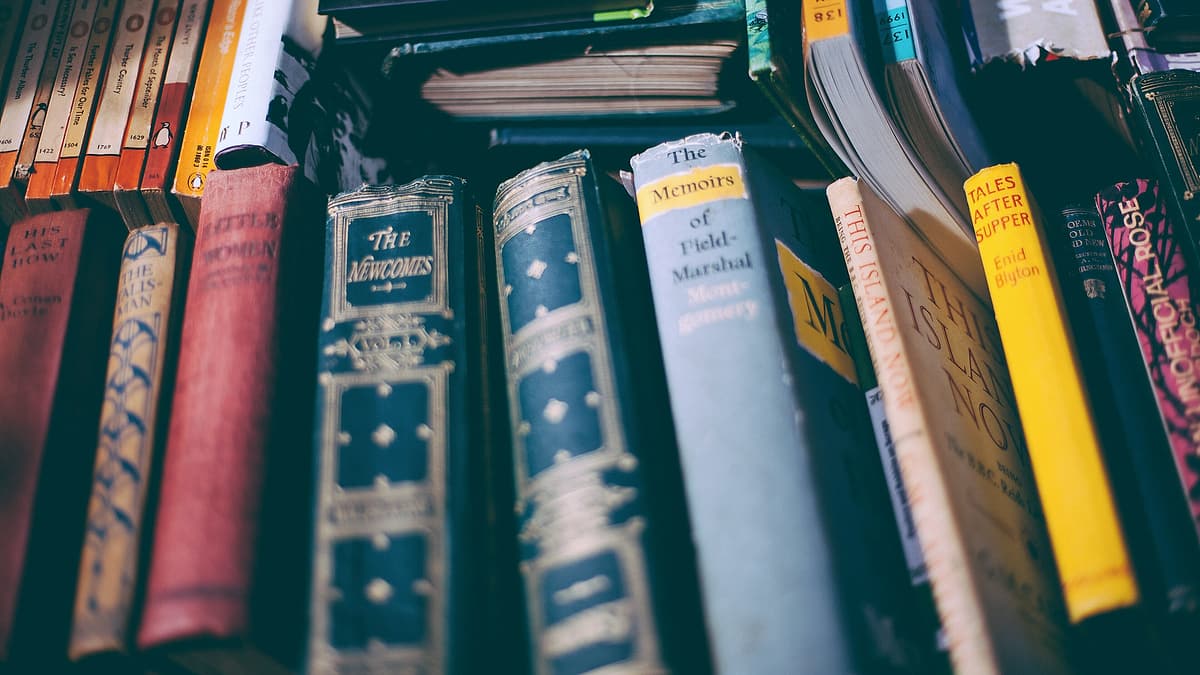 A shelf of old books left undisturbed, their spines faded with age
