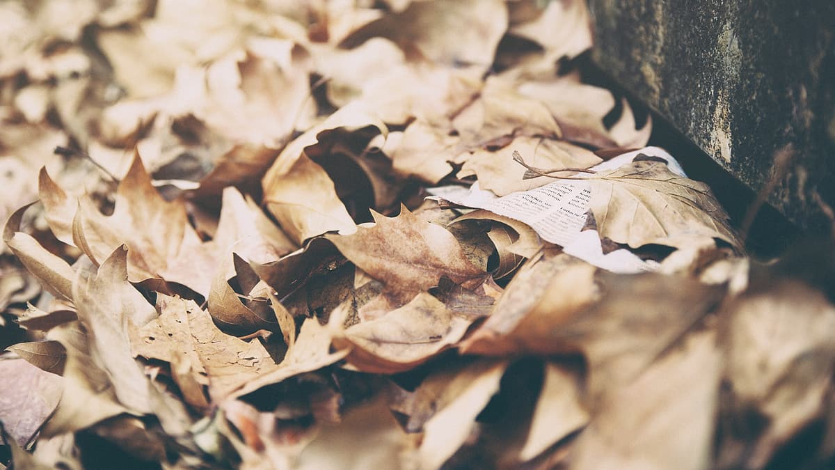Loose printed pages scattered across a surface, some of them overlapping